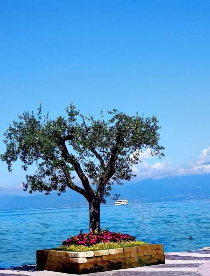 Mahatma Residence Lake View Lazise Ruang foto